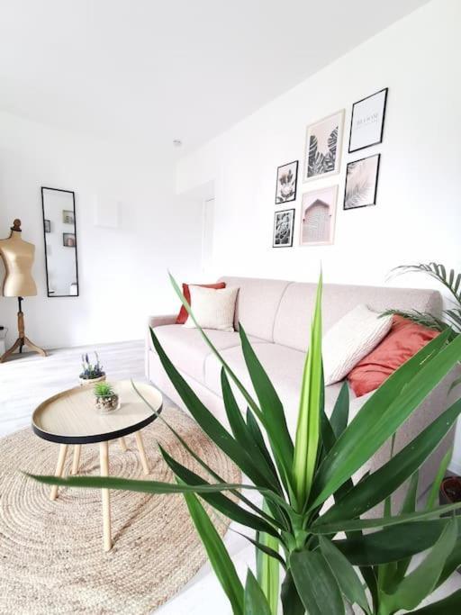 L'Authentique *Studio *Parking Prive* *Wifi*Calme Lourdes Eksteriør bilde